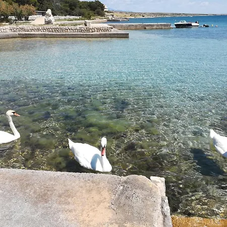 Matosevic, Pag-kosljun Košljun