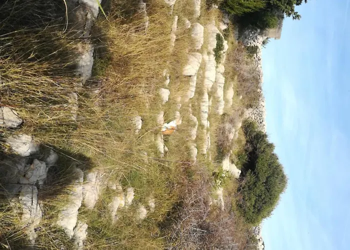 Matosevic, Pag-kosljun 아파트